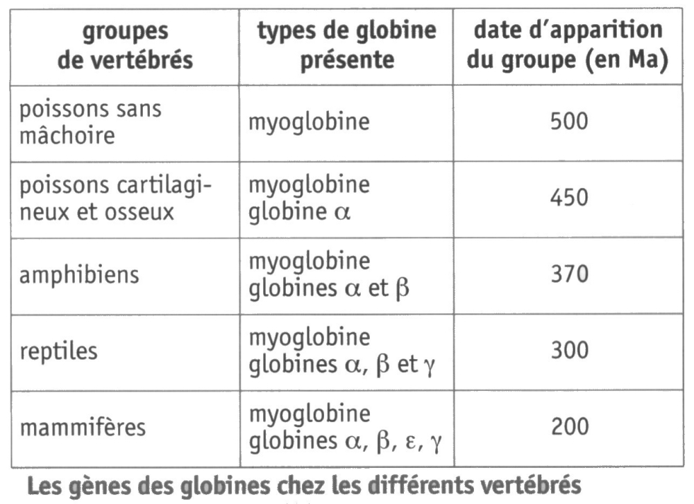 GLOBINE EVOLUTION.jpg